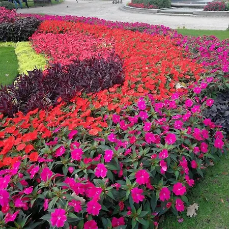 Brivibas With Private Parking * Riga